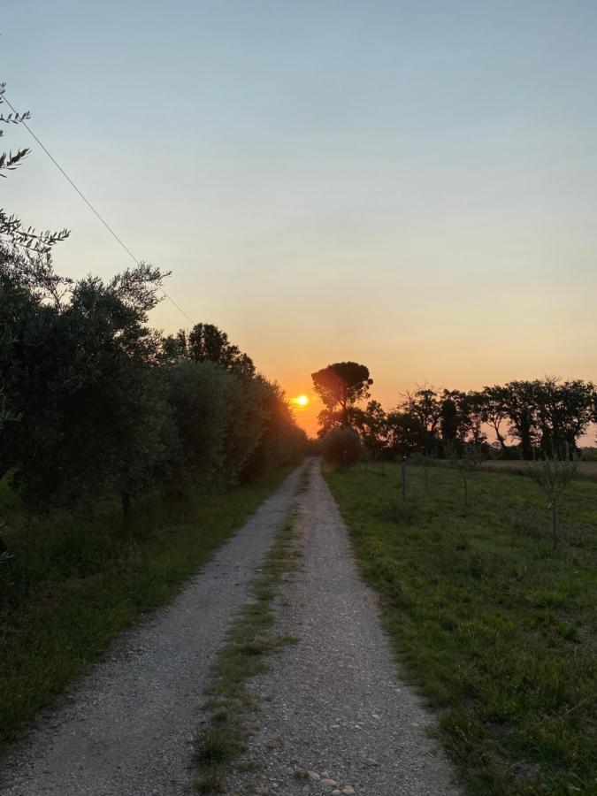 Ca Baruffa B&B SantʼArcangelo di Romagna Esterno foto